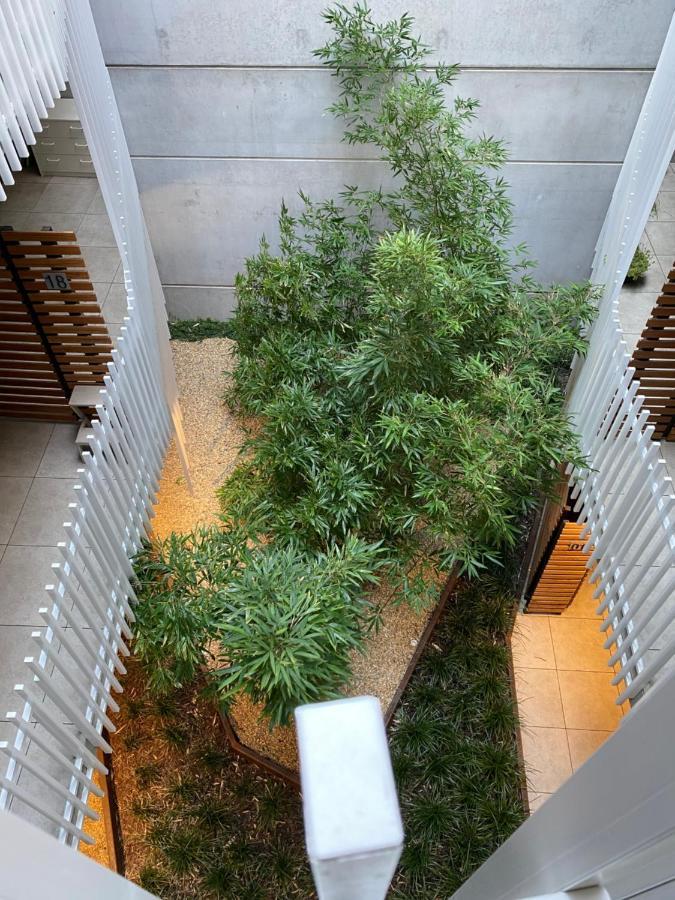 The Gallery Luxe 1 Bedroom Executive Apartment In The Heart Of Braddon Wine Secure Parking Wifi 캔버라 외부 사진